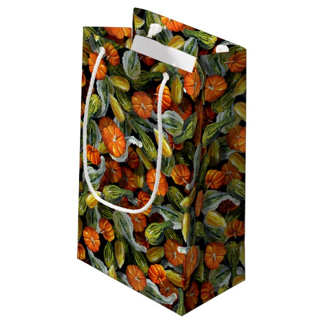Pumpkin, Squash Autumn Harvest Gift Bags (Back Angled)