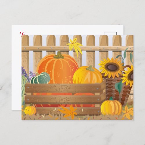 Pumpkin Squash Halloween Decoration Postcard