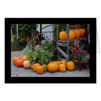 Pumpkin Stand Cards