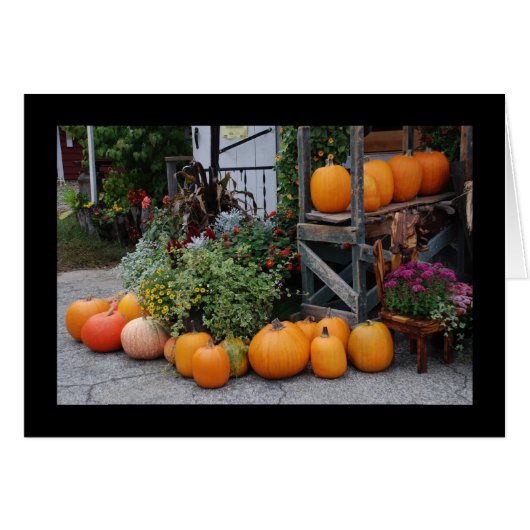 Pumpkin Stand Cards (Front Horizontal)