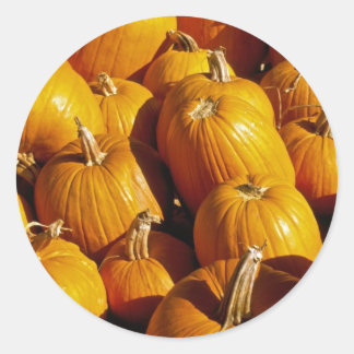 Pumpkin Stickers