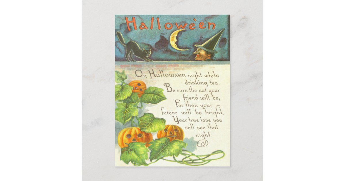Pumpkin Vines Jack O Lantern Witch Black Cat Postcard | Zazzle