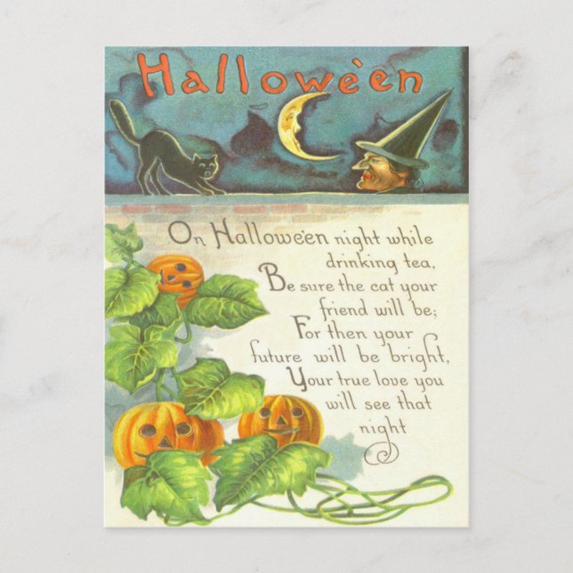 Pumpkin Vines Jack O Lantern Witch Black Cat Postcard (Front)
