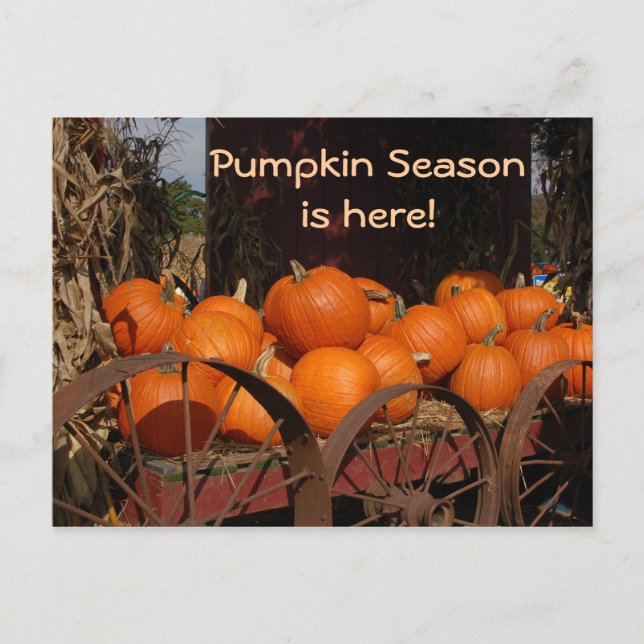 Pumpkin Wagon Photo Postcard (Front)