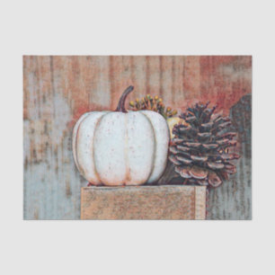 Pumpkin White Autumn Rustic Country Farmhouse Tissue Paper