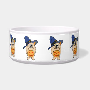Pumpkin Witch Dog Bowl