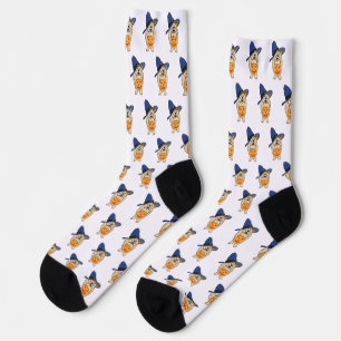 Pumpkin Witch Dog Socks