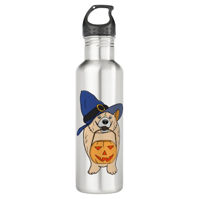 Pumpkin Witch Dog Stainless Steel Water Bottle (Front)