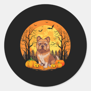 Pumpkin With Funny Halloween Costume Brussels Classic Round Sticker