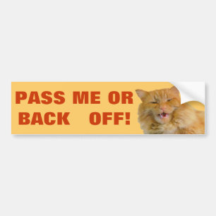Pumpkin yells " back off" bumper sticker