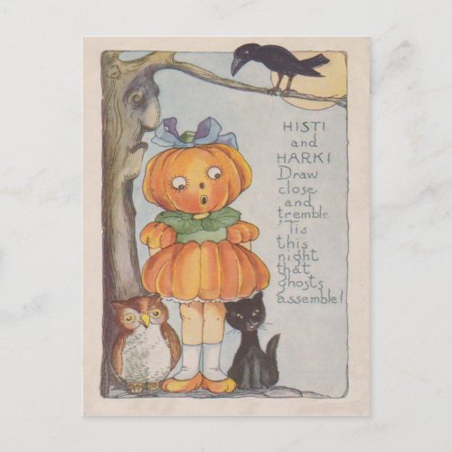 Pumpkinhead Jack O Lantern Crow Black Cat Owl Postcard