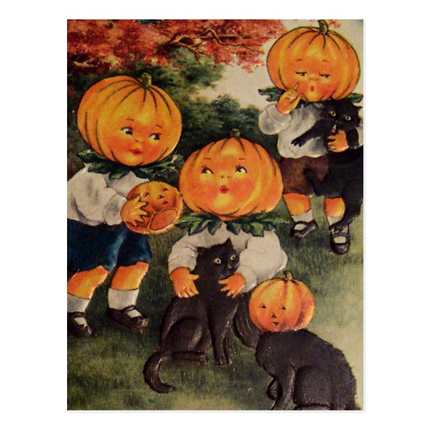 Pumpkinheads Black Cat (Vintage Halloween Card) Postcard