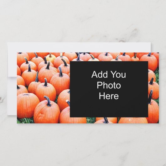 Pumpkins (Front)