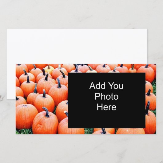 Pumpkins (Front/Back)