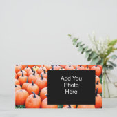 Pumpkins (Standing Front)