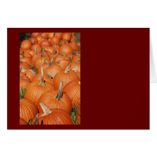 PUMPKINS! (Front Horizontal)