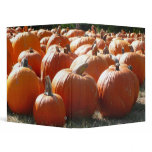 Pumpkins 3 Ring Binder