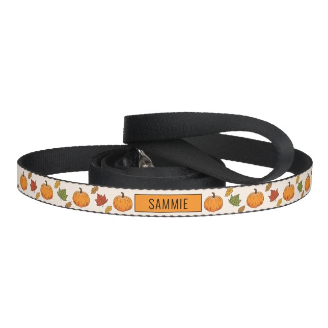 Pumpkins And Colorful Autumn Leaves Pattern & Name Pet Leash (Handle)