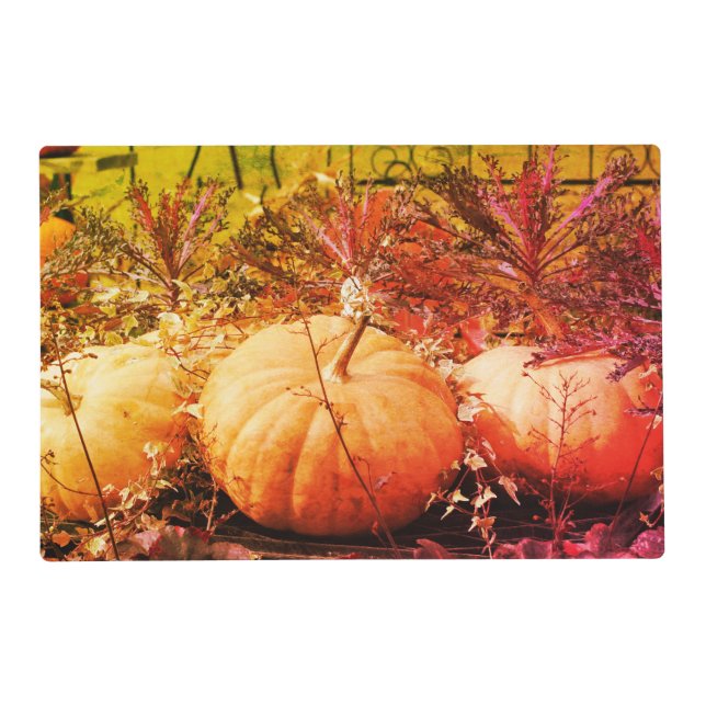 Pumpkins And Fall Plants Abstract  Placemat (Front)