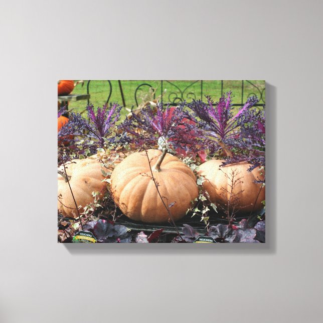 Pumpkins And Fall Plants  Canvas Print (Front)