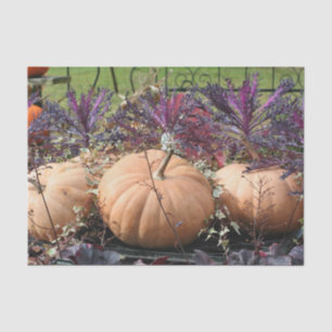 Pumpkins And Fall Plants Decoupage Tissue Paper