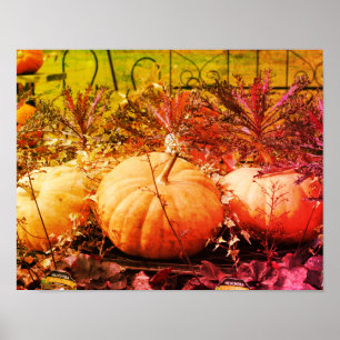 Pumpkins And Fall Plants Distressed Art Poster
