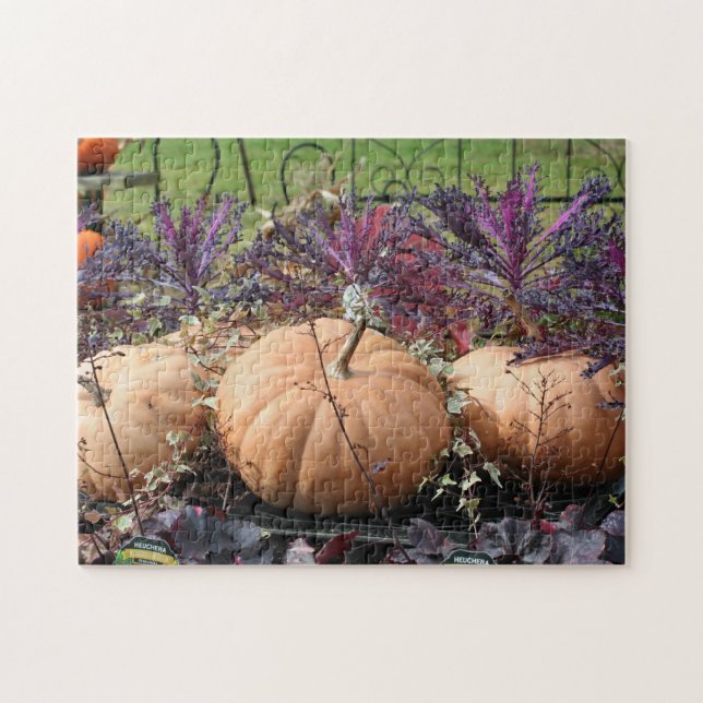 Pumpkins And Fall Plants  Jigsaw Puzzle (Horizontal)