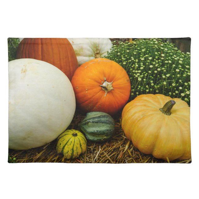 Pumpkins And Gourds Placemat (Front)
