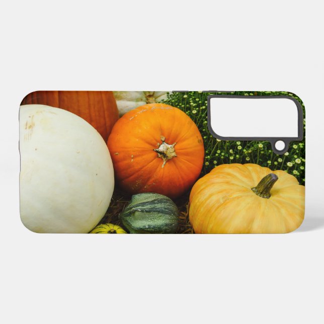 Pumpkins And Gourds Samsung Galaxy Case (Back Horizontal)