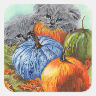Pumpkins and Kittens stickers