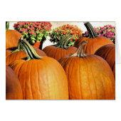 Pumpkins and Mums (Front Horizontal)