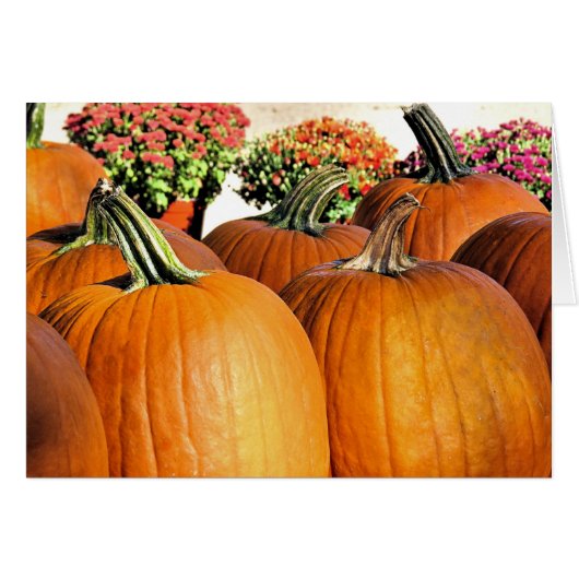 Pumpkins and Mums (Front Horizontal)