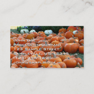 Pumpkins and Mums Autumn Harvest Photography Business Card