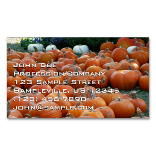 Pumpkins and Mums Autumn Harvest Photography Business Card Magnet