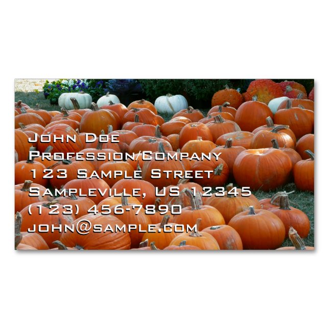 Pumpkins and Mums Autumn Harvest Photography Business Card Magnet (Front)
