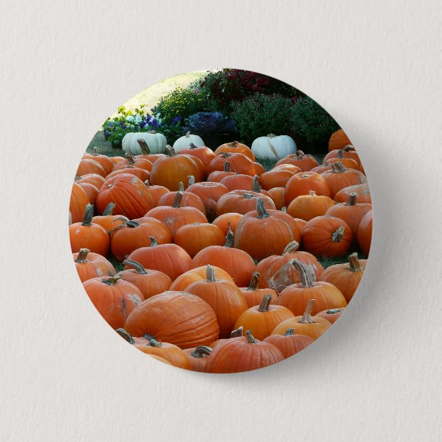 Pumpkins and Mums Autumn Harvest Photography Button (Front)
