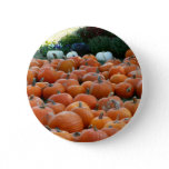 Pumpkins and Mums Autumn Harvest Photography Button