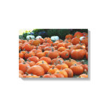 Pumpkins and Mums Autumn Harvest Photography Canvas Print