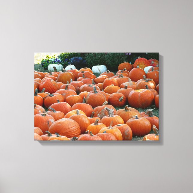 Pumpkins and Mums Autumn Harvest Photography Canvas Print (Front)