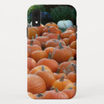Pumpkins and Mums Autumn Harvest Photography iPhone XR Case