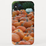 Pumpkins and Mums Autumn Harvest Photography iPhone XS Max Case