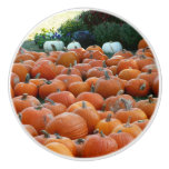 Pumpkins and Mums Autumn Harvest Photography Ceramic Knob