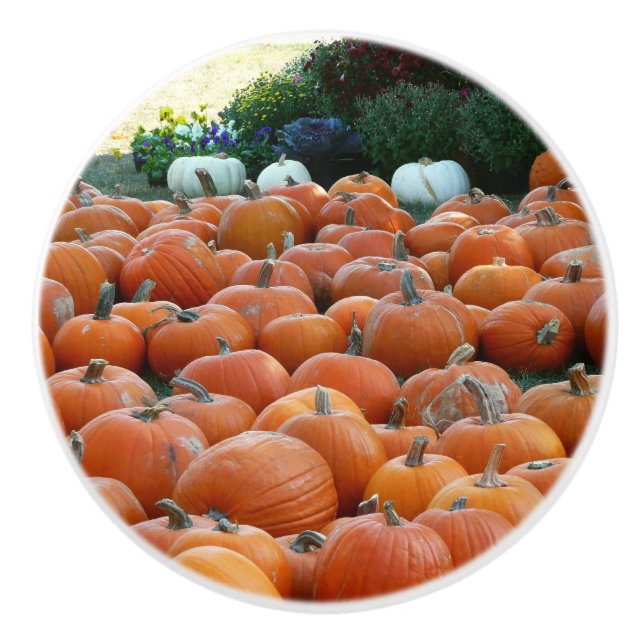 Pumpkins and Mums Autumn Harvest Photography Ceramic Knob (Front)