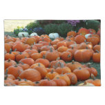 Pumpkins and Mums Autumn Harvest Photography Cloth Placemat