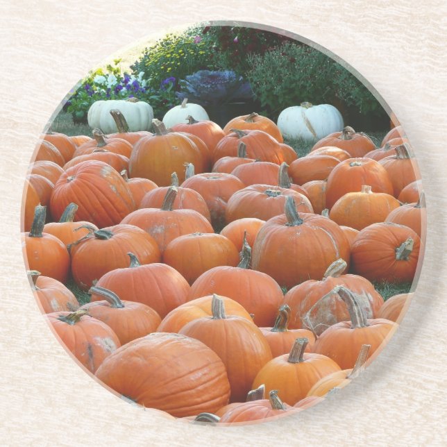 Pumpkins and Mums Autumn Harvest Photography Coaster (Front)