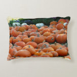 Pumpkins and Mums Autumn Harvest Photography Decorative Pillow