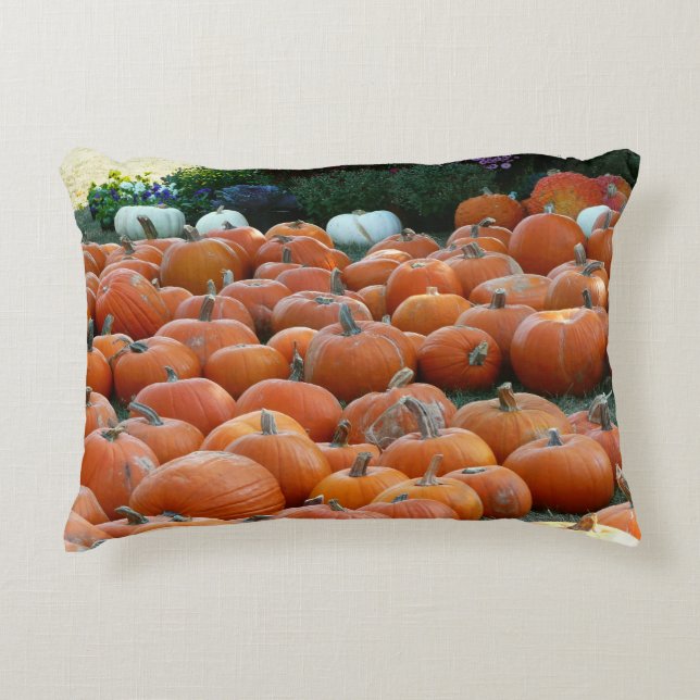 Pumpkins and Mums Autumn Harvest Photography Decorative Pillow (Front)