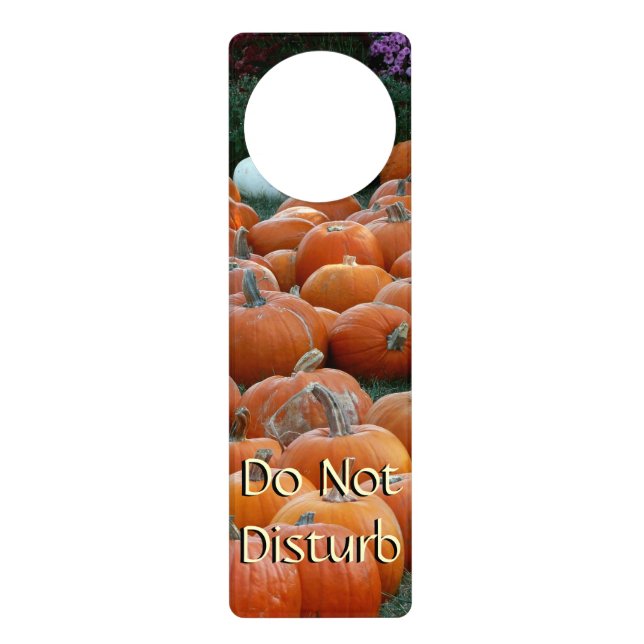 Pumpkins and Mums Autumn Harvest Photography Door Hanger (Front)