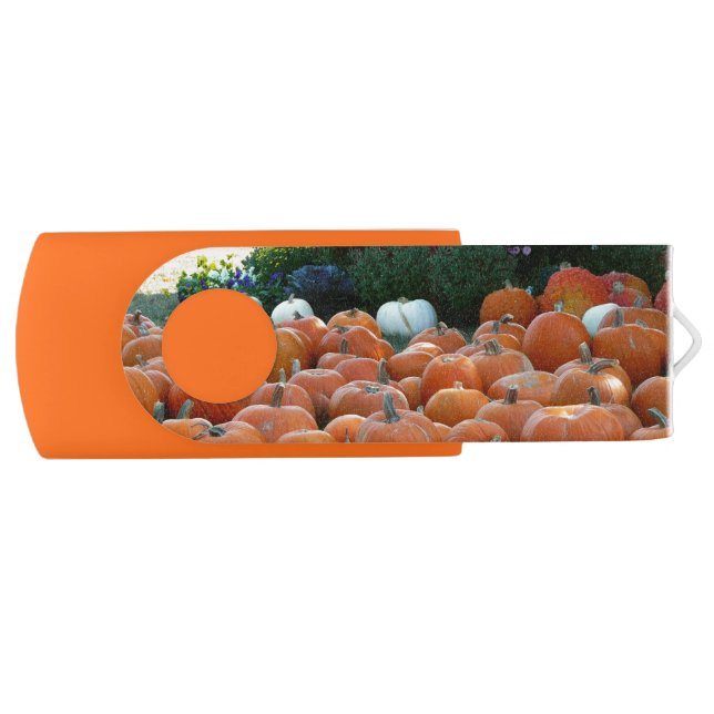 Pumpkins and Mums Autumn Harvest Photography Flash Drive (Front)