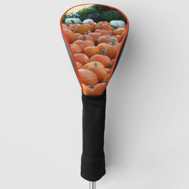 Pumpkins and Mums Autumn Harvest Photography Golf Head Cover (Front)